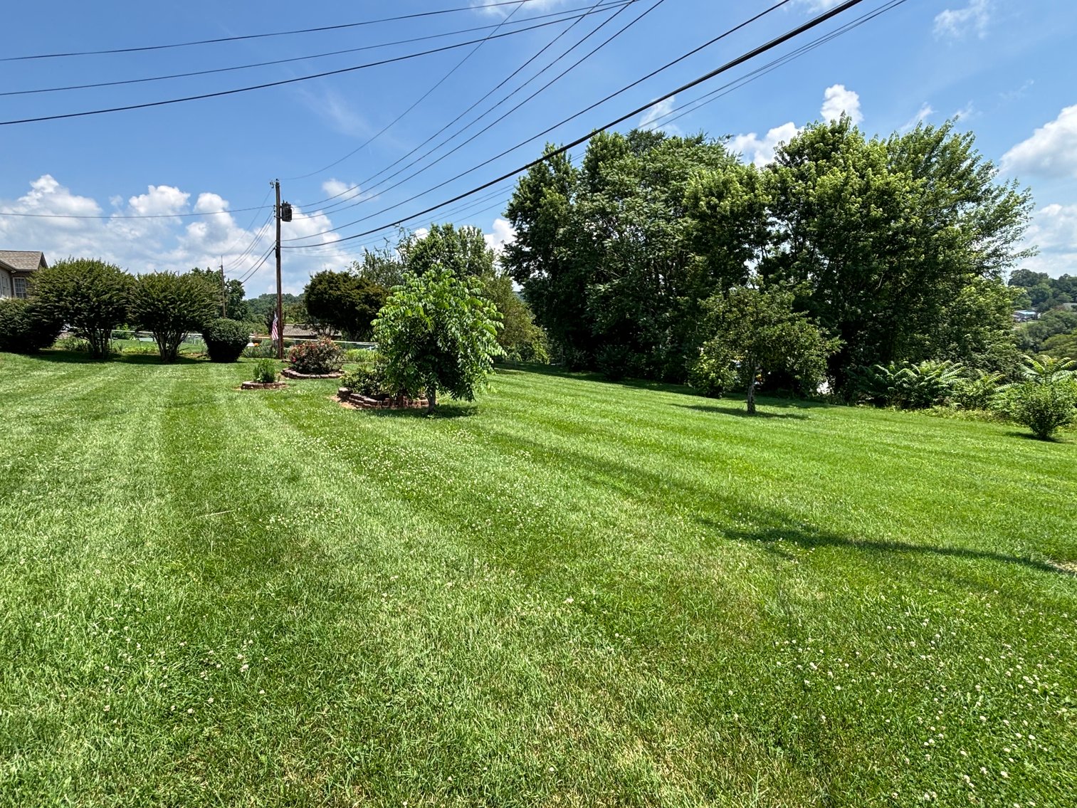 Image for 805 MIMOSA DRIVE  KINGSPORT, TN 37660