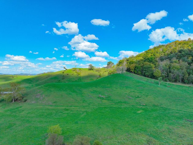 SEVEN SPRINGS HOLLOW ROAD  CASTLEWOOD, VA 24224