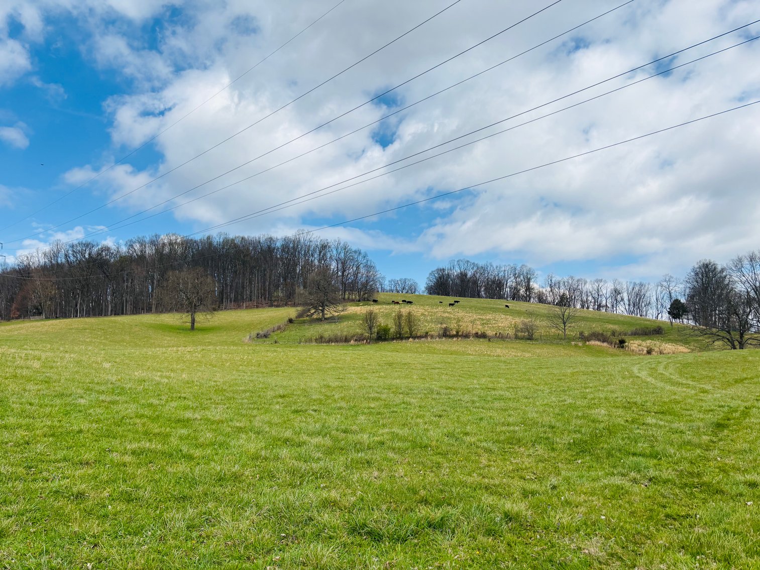 Image for 19327 KIMBERLIN ROAD  ABINGDON, VA 24210