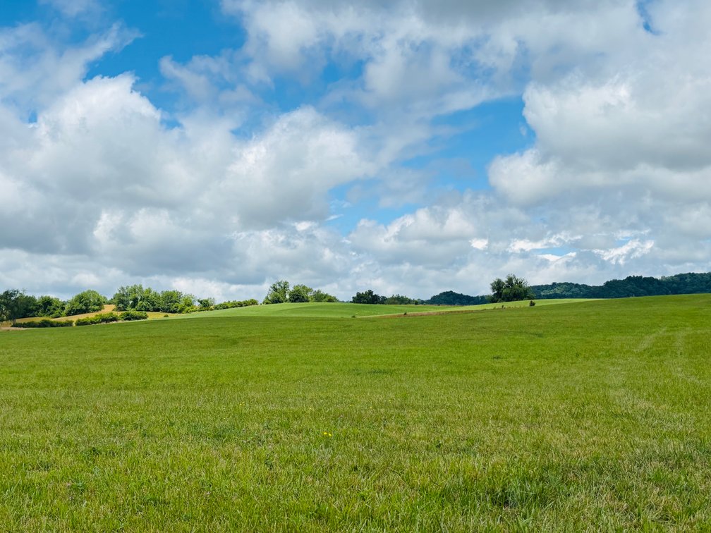Image for 71 ACRES +/-  CLEVELAND ROAD  ABINGDON, VA 24211