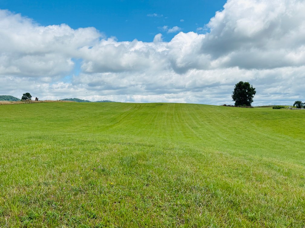 Image for 71 ACRES +/-  CLEVELAND ROAD  ABINGDON, VA 24211