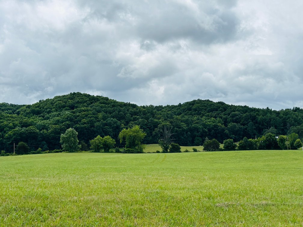 Image for 71 ACRES +/-  CLEVELAND ROAD  ABINGDON, VA 24211