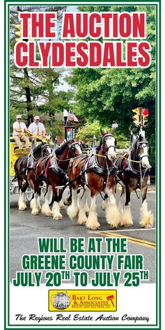 The Auction Clydesdales Greene County Fair