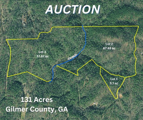 Image for ONLINE AUCTION - 131 Acres near Ellijay in Gilmer County, Georgia