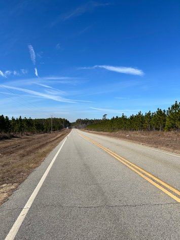 Image for ONLINE AUCTION - 171.5 Acres in Montgomery & Treutlen Counties