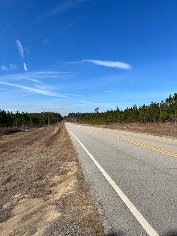 Image for ONLINE AUCTION - 171.5 Acres in Montgomery & Treutlen Counties