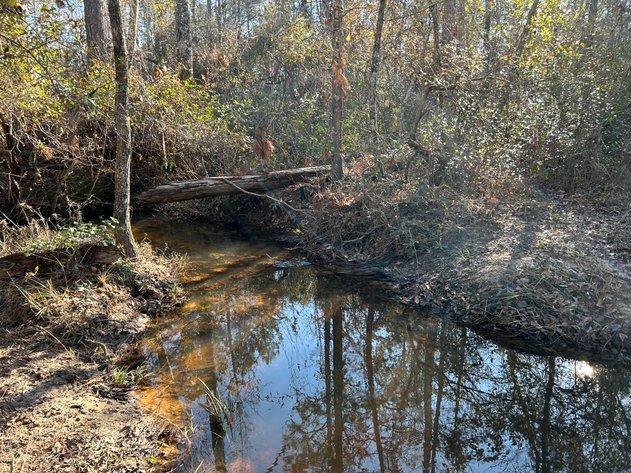 Image for ONLINE AUCTION - 171.5 Acres in Montgomery & Treutlen Counties