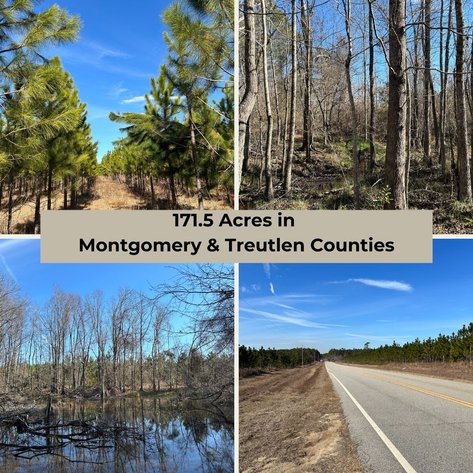 Image for ONLINE AUCTION - 171.5 Acres in Montgomery & Treutlen Counties