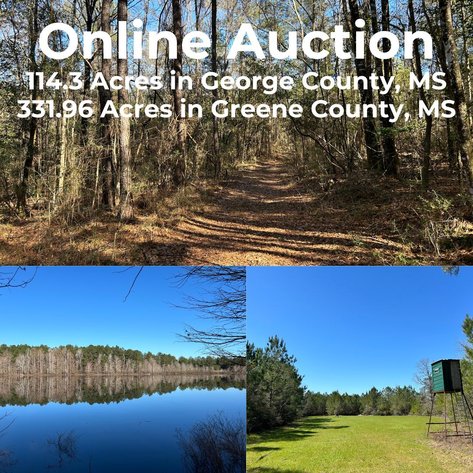Image for ONLINE AUCTION - 114.3 Acres in George County, MS and 331.96 Acres in Greene County MS