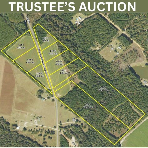 Image for LIVE TRUSTEE'S AUCTION - 65  Acres in Laurens County