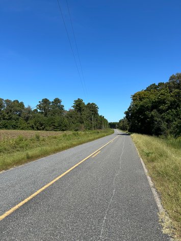 Image for LIVE TRUSTEE'S AUCTION - 65  Acres in Laurens County