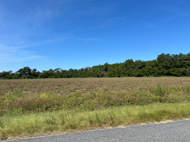 Image for LIVE TRUSTEE'S AUCTION - 65  Acres in Laurens County