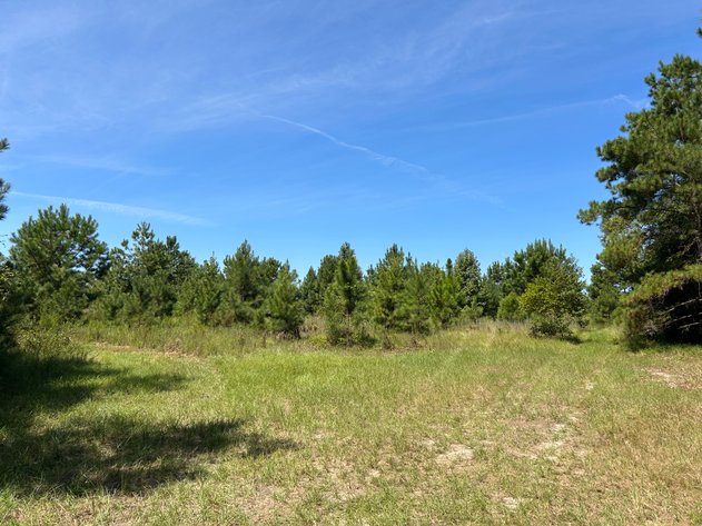 Image for LIVE TRUSTEE'S AUCTION - 65  Acres in Laurens County