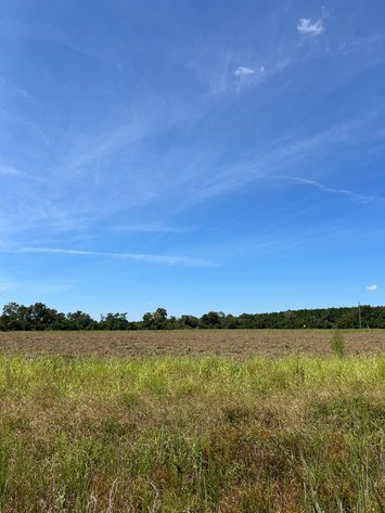 Image for LIVE TRUSTEE'S AUCTION - 65  Acres in Laurens County