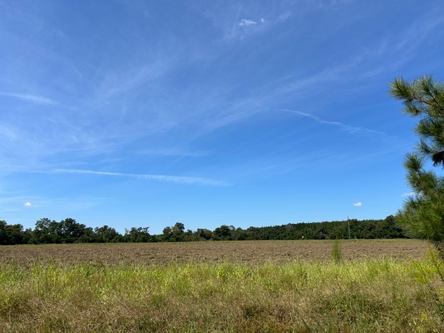Image for LIVE TRUSTEE'S AUCTION - 65  Acres in Laurens County
