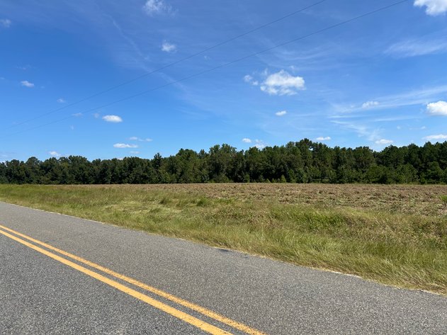 Image for LIVE TRUSTEE'S AUCTION - 65  Acres in Laurens County