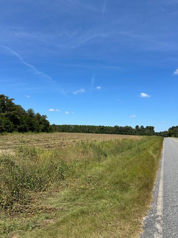 Image for LIVE TRUSTEE'S AUCTION - 65  Acres in Laurens County