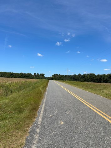 Image for LIVE TRUSTEE'S AUCTION - 65  Acres in Laurens County