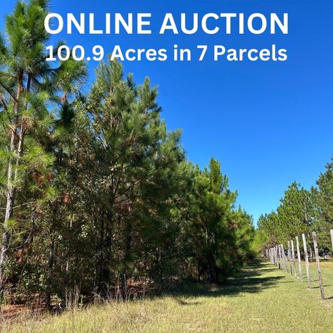 Image for ONLINE AUCTION - 100.9 Acres in 7 Parcels - Laurens County, GA