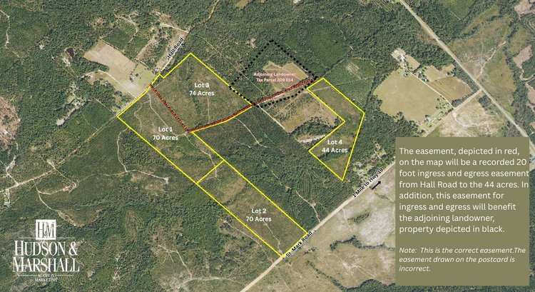 Image for ONLINE AUCTION  - 258 ACRES IN LAURENS COUNTY, GEORGIA