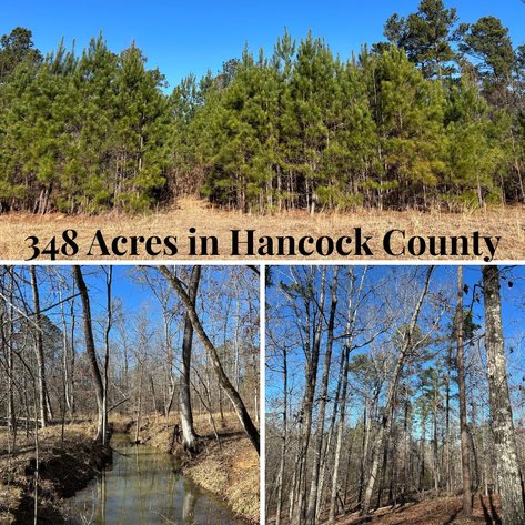 Image for ONLINE AUCTION - 348 Acres in Hancock County, Georgia