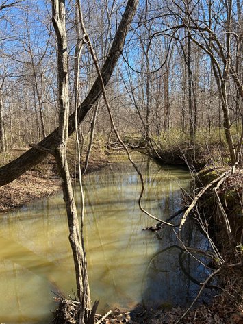 Image for ONLINE AUCTION - 348 Acres in Hancock County, Georgia