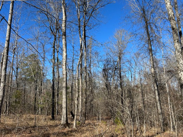 Image for ONLINE AUCTION - 348 Acres in Hancock County, Georgia