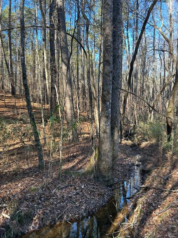 Image for ONLINE AUCTION - 348 Acres in Hancock County, Georgia
