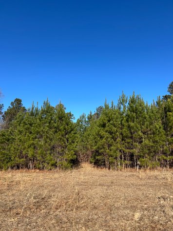 Image for ONLINE AUCTION - 348 Acres in Hancock County, Georgia