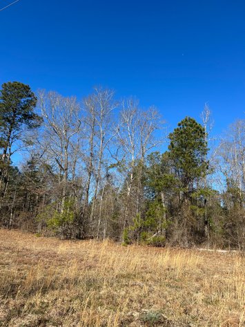 Image for ONLINE AUCTION - 348 Acres in Hancock County, Georgia