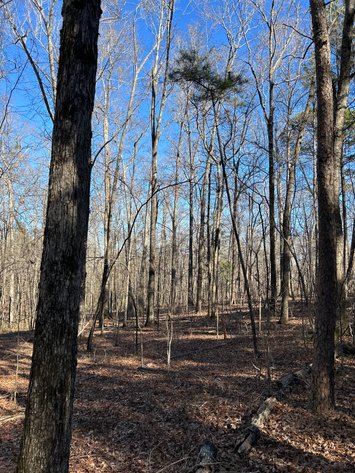 Image for ONLINE AUCTION - 348 Acres in Hancock County, Georgia