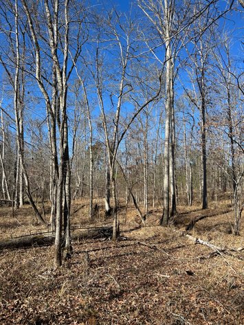 Image for ONLINE AUCTION - 348 Acres in Hancock County, Georgia