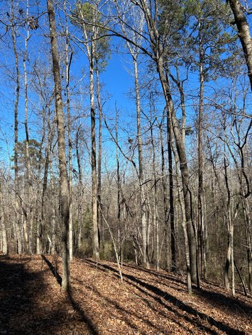 Image for ONLINE AUCTION - 348 Acres in Hancock County, Georgia
