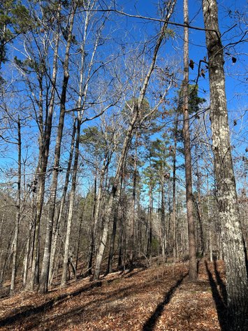 Image for ONLINE AUCTION - 348 Acres in Hancock County, Georgia