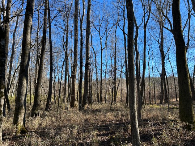 Image for ONLINE AUCTION - 348 Acres in Hancock County, Georgia