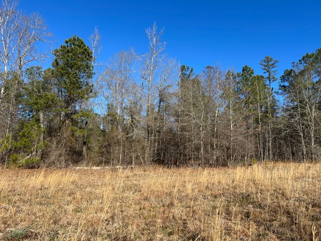 Image for ONLINE AUCTION - 348 Acres in Hancock County, Georgia