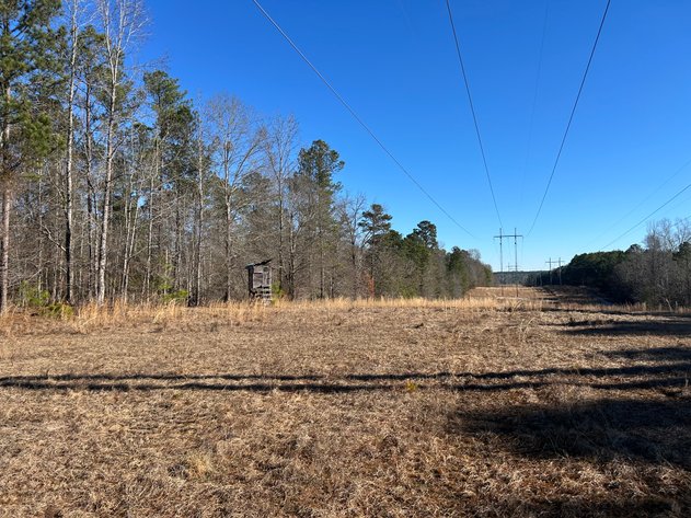 Image for ONLINE AUCTION - 348 Acres in Hancock County, Georgia