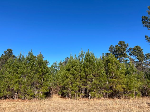 Image for ONLINE AUCTION - 348 Acres in Hancock County, Georgia