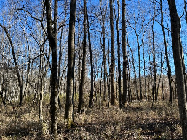 Image for ONLINE AUCTION - 348 Acres in Hancock County, Georgia