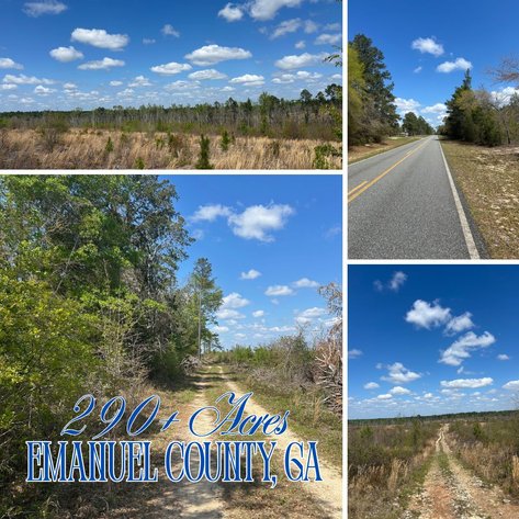 Image for ONLINE AUCTION - 290+ Acres in Emanuel County, Georgia