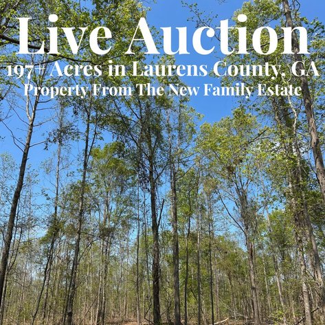 Image for LIVE AUCTION - 197+ Acres in Laurens County, Georgia