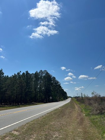 Image for LIVE AUCTION - 197+ Acres in Laurens County, Georgia