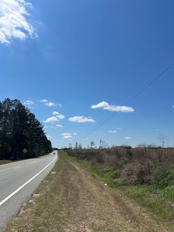 Image for LIVE AUCTION - 197+ Acres in Laurens County, Georgia