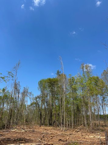Image for LIVE AUCTION - 197+ Acres in Laurens County, Georgia