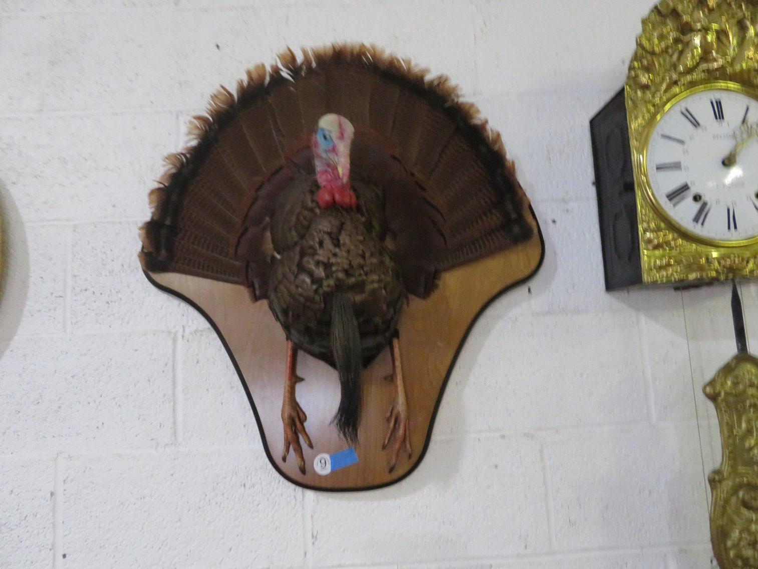 Image for August 20th Antiques and Collectibles