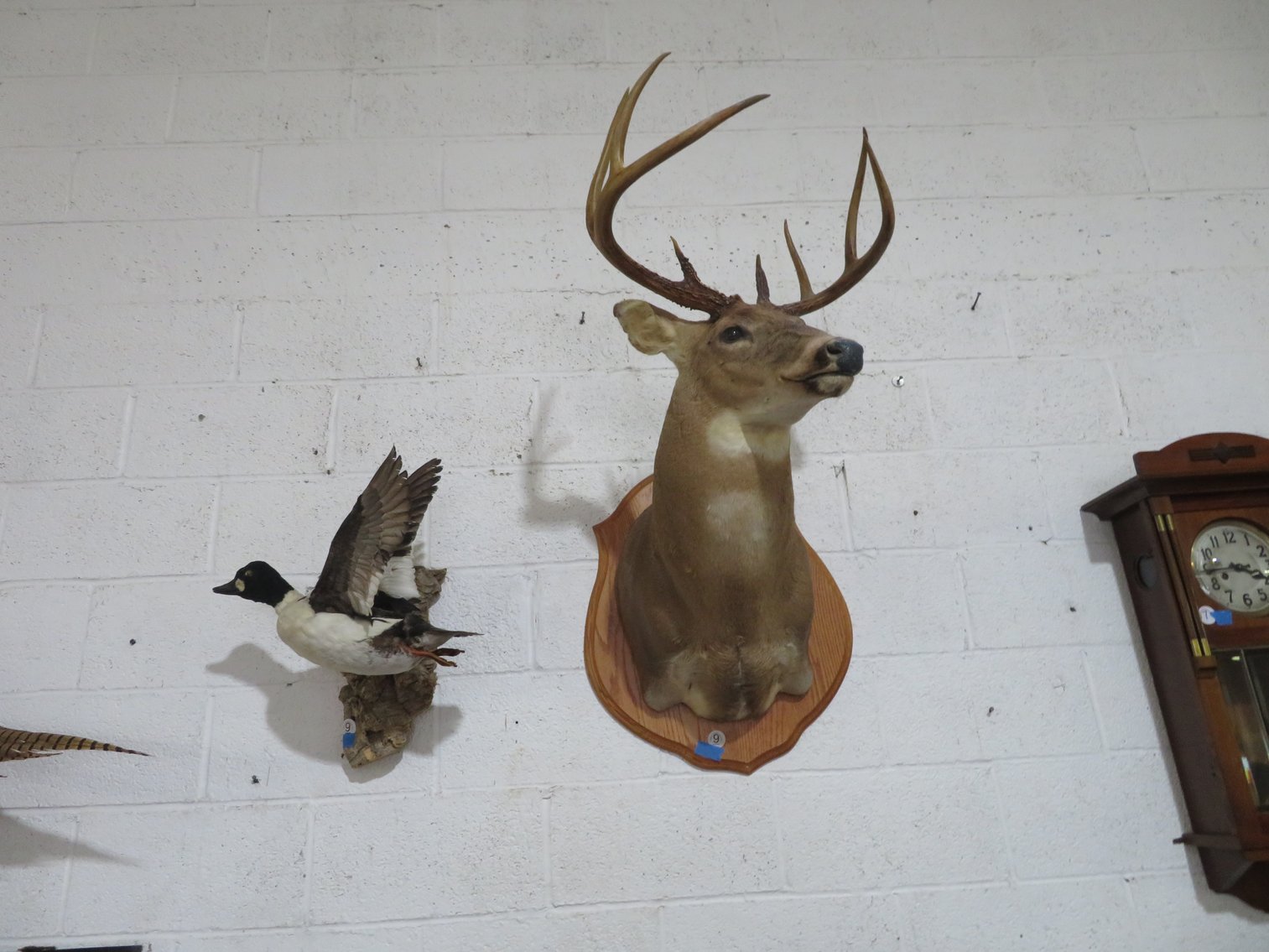 Image for August 20th Antiques and Collectibles