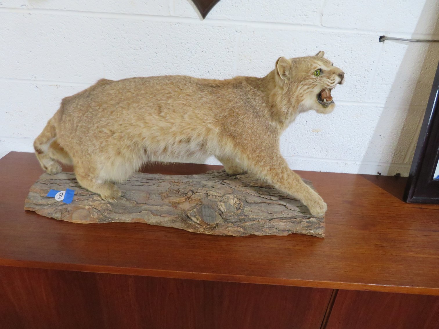 Image for August 20th Antiques and Collectibles