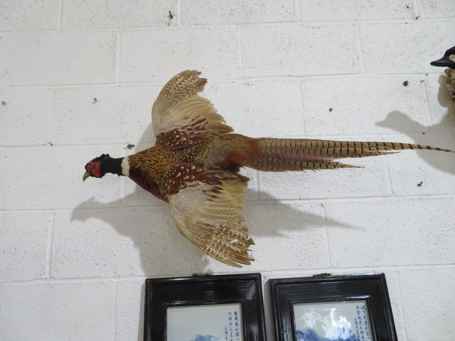 Image for August 20th Antiques and Collectibles