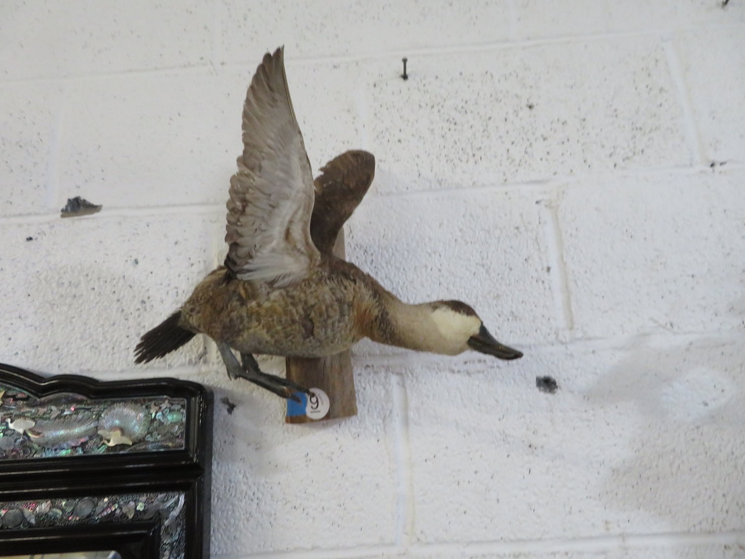 Image for August 20th Antiques and Collectibles