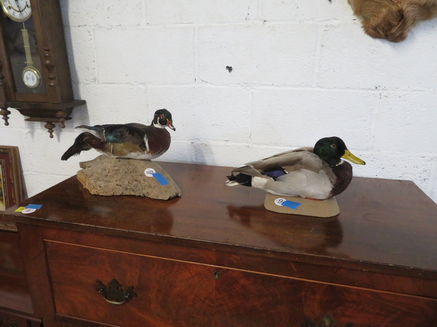 Image for August 20th Antiques and Collectibles